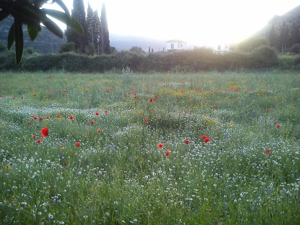 Countryside Studios Agia Efimia 0*,  Grèce