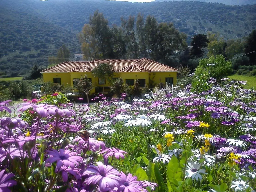 Countryside Studios Agia Efimia